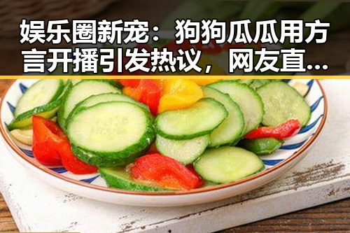 娱乐圈新宠:狗狗瓜瓜用方言开播引发热议,网友直呼“萌翻了”